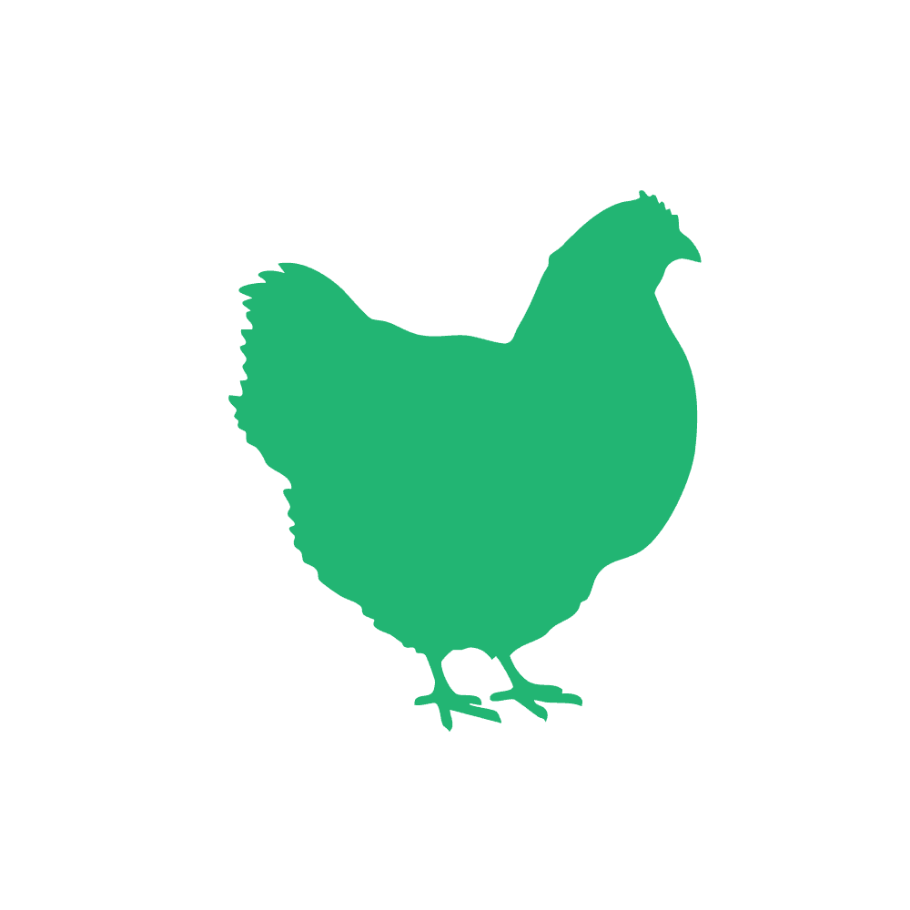Poultry nutrition icon