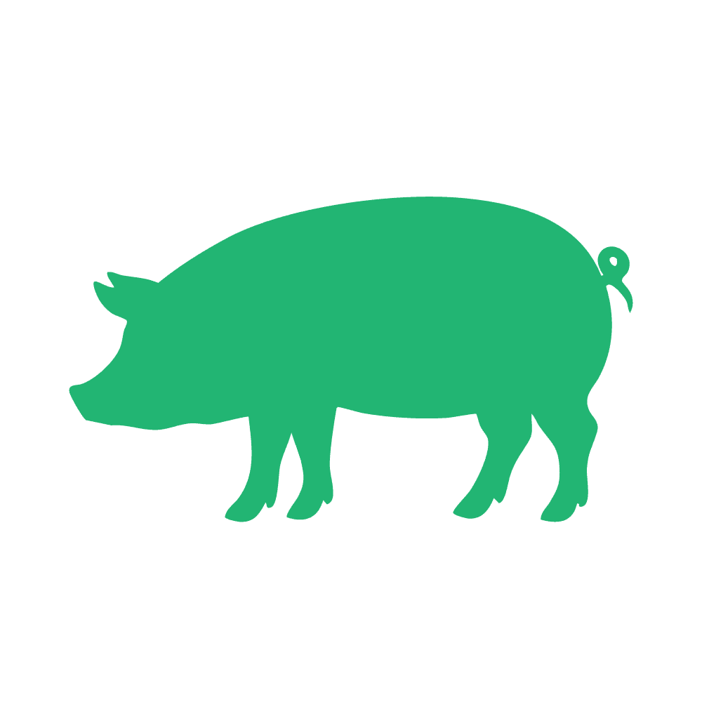 Swine nutrition icon
