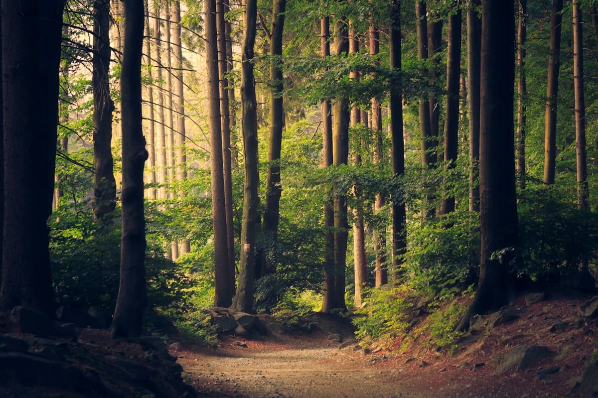 Environmental Protection